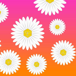 Daisy 20 D20 Sunset Ombre Skater Dress