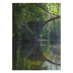 Feywild Lagoon Hardcover Journal - Journals