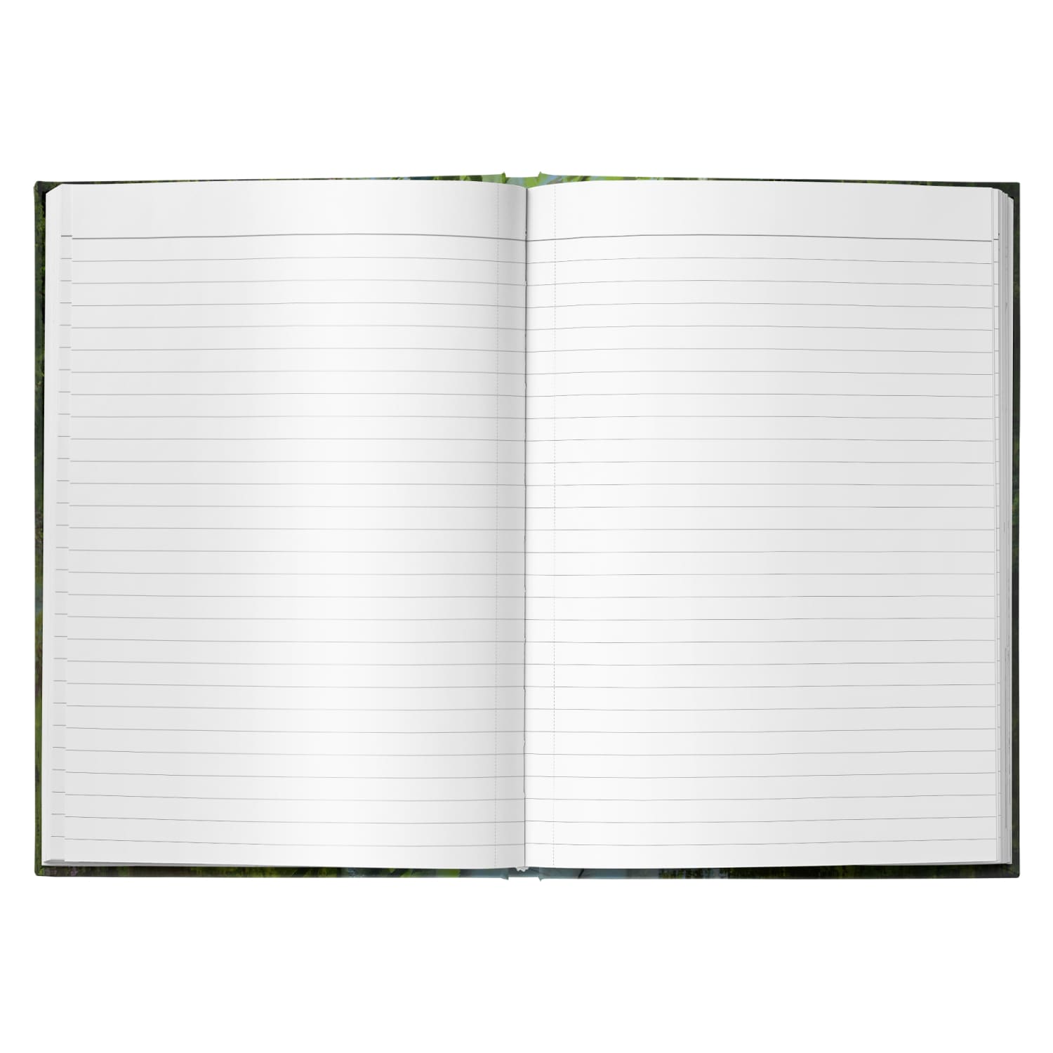 Feywild Lagoon Hardcover Journal - Journals