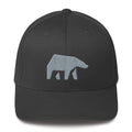 SBRPG SoulBearRPG Bear Logo Structured Twill Cap - Dark Grey / S/M