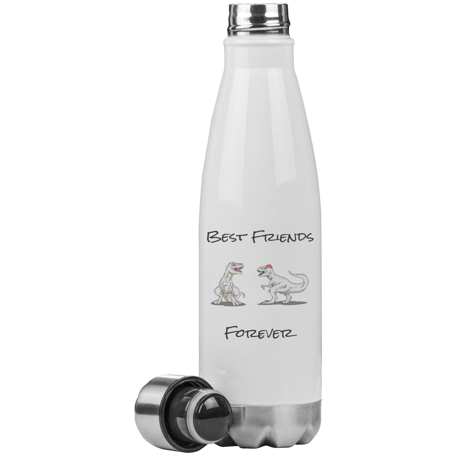 T-Rex Best Friends Forever 20oz Insulated Water Bottle - Water Bottle