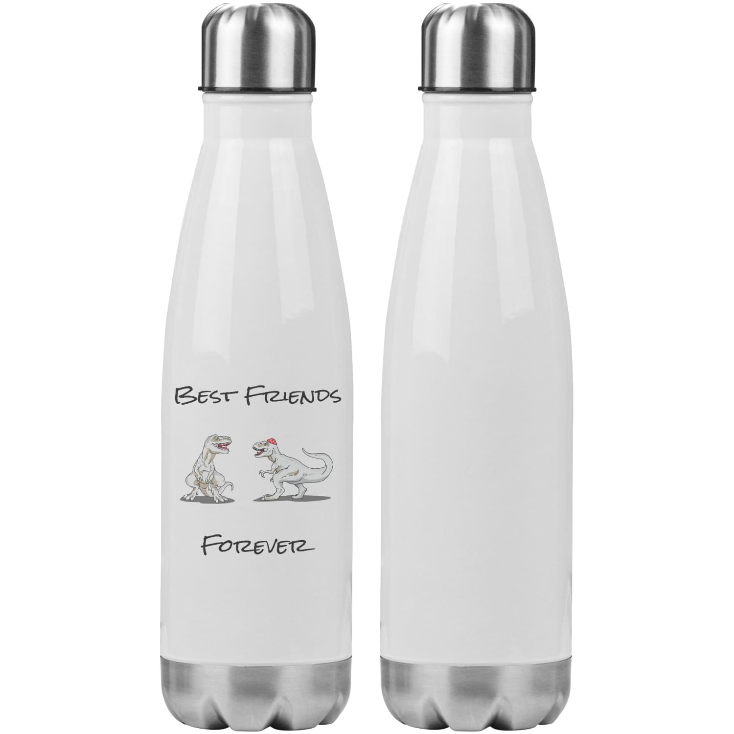 T-Rex Best Friends Forever 20oz Insulated Water Bottle - Water Bottle