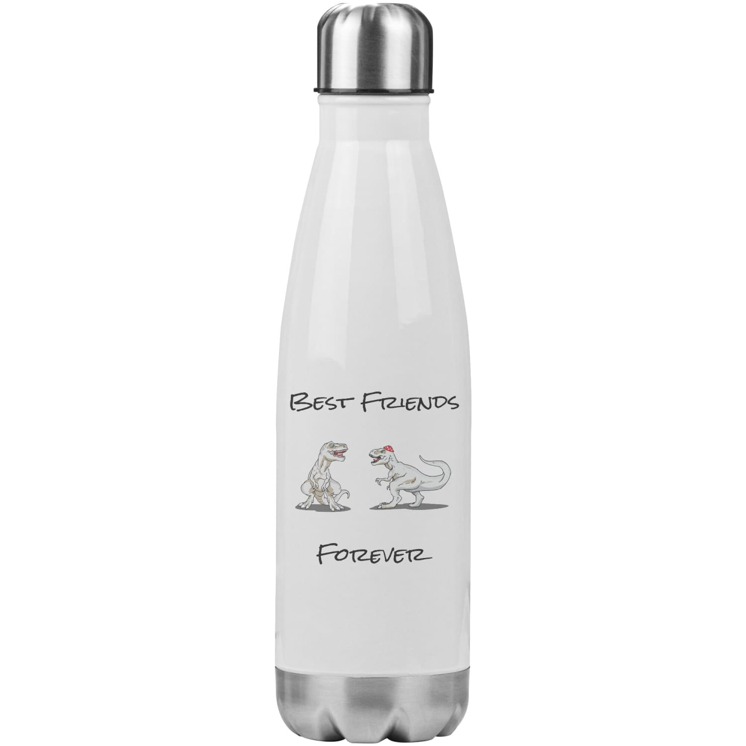T-Rex Best Friends Forever 20oz Insulated Water Bottle - Water Bottle